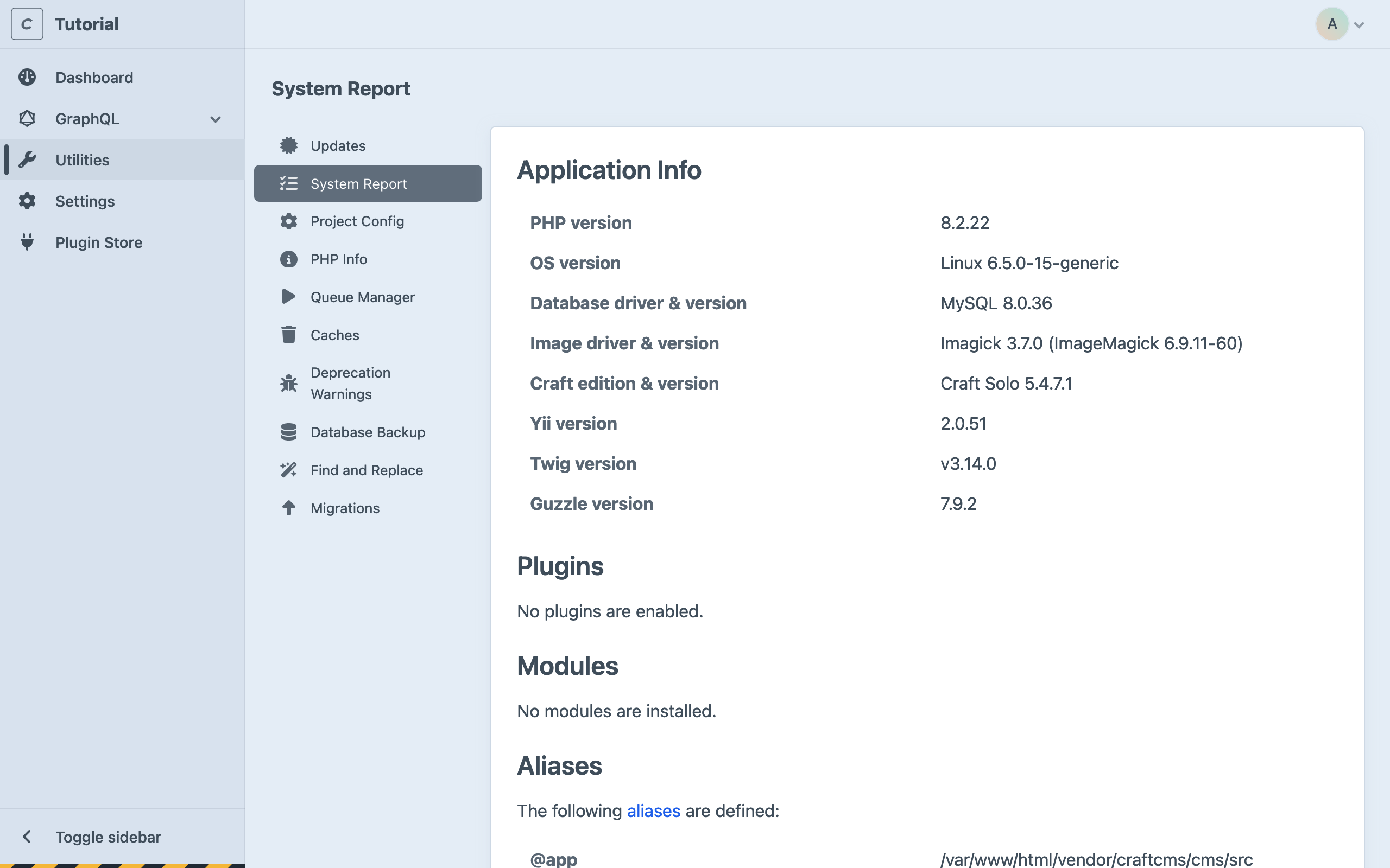 Screenshot of the Craft CMS utilities section, with the “System Report” pane active